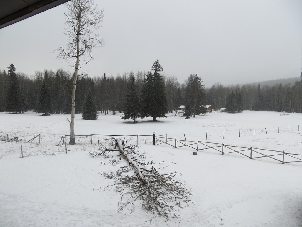 Black Cat Guest Ranch Brule Mines ภายนอก รูปภาพ