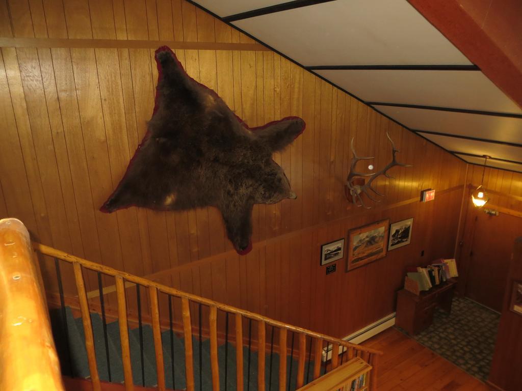 Black Cat Guest Ranch Brule Mines ภายนอก รูปภาพ