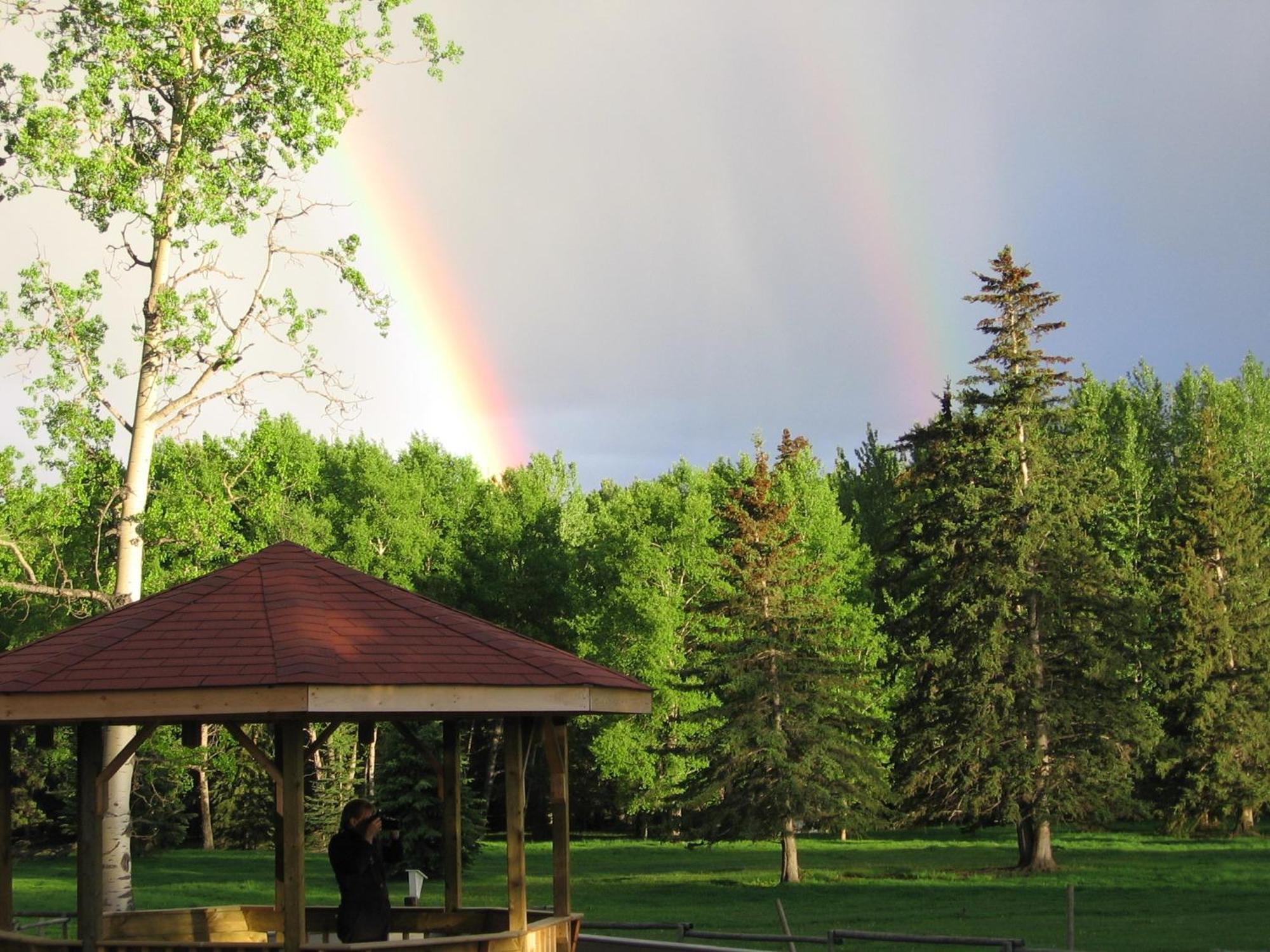 Black Cat Guest Ranch Brule Mines ภายนอก รูปภาพ